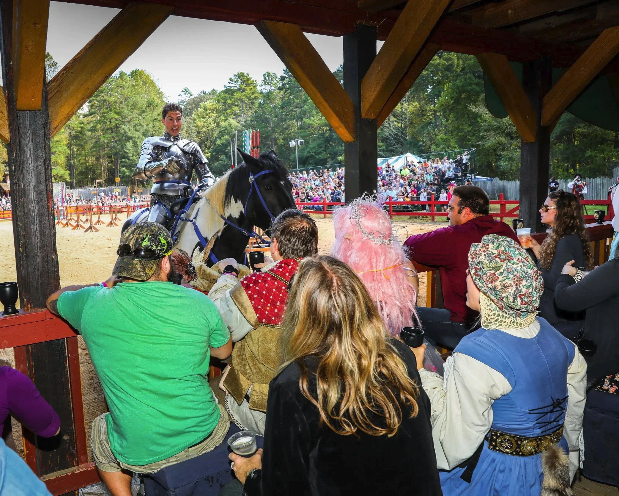 VIP Joust Seating — Carolina Renaissance Festival